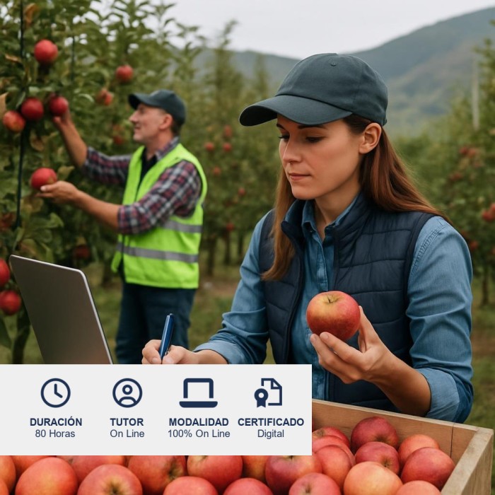 Trazabilidad en la Industria Frutícola